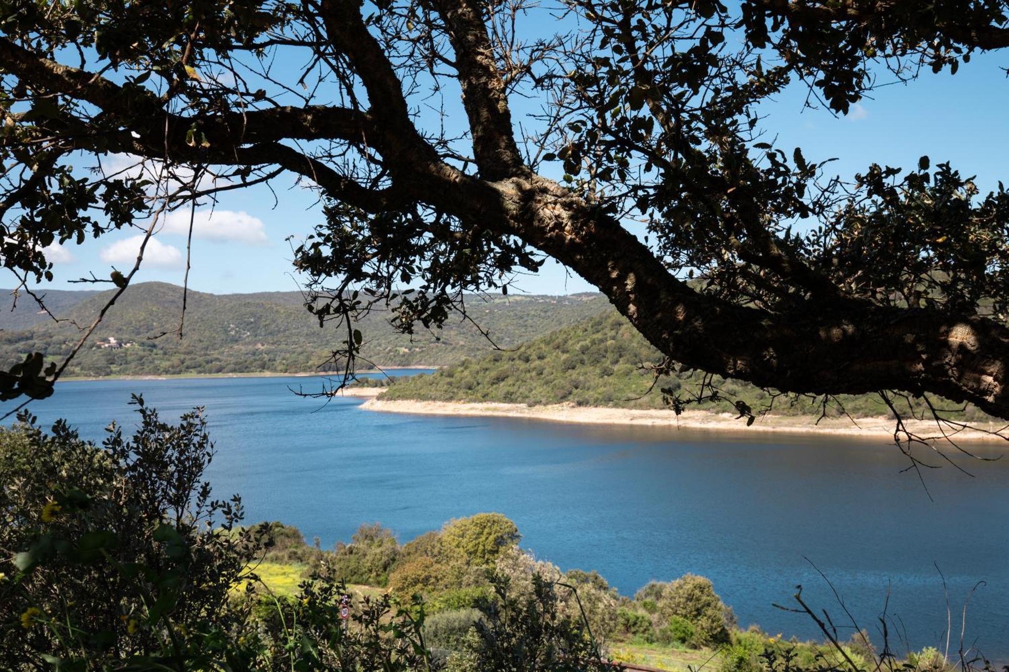 Zaira Home Free Wi-Fi 5 Minuti Dal Lago Liscia Sant'Antonio di Gallura Esterno foto